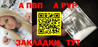 шишки Кандалакша