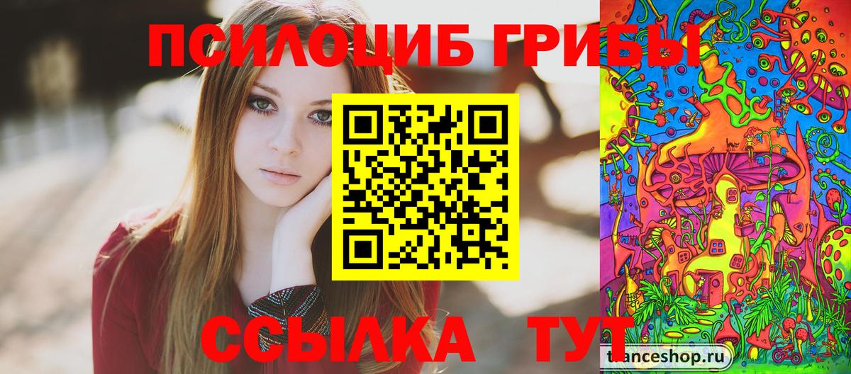 Галлюциногенные грибы мицелий Краснознаменск