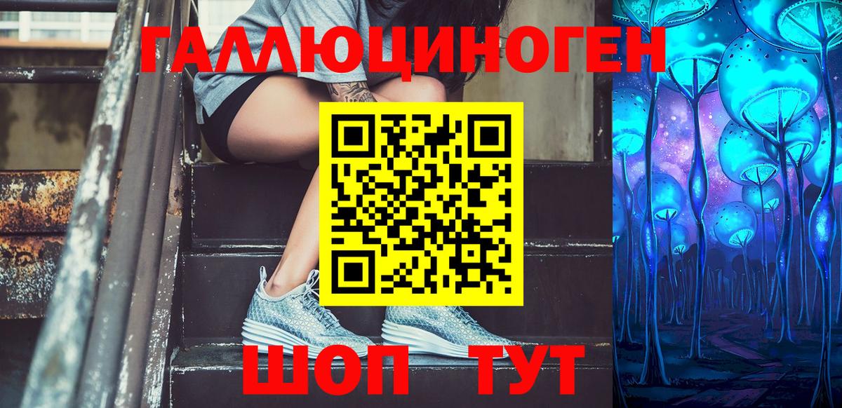 Краснознаменск  наркотики  Вход с VPN  Псилоцибиновые грибы Psilocybine cubensis 