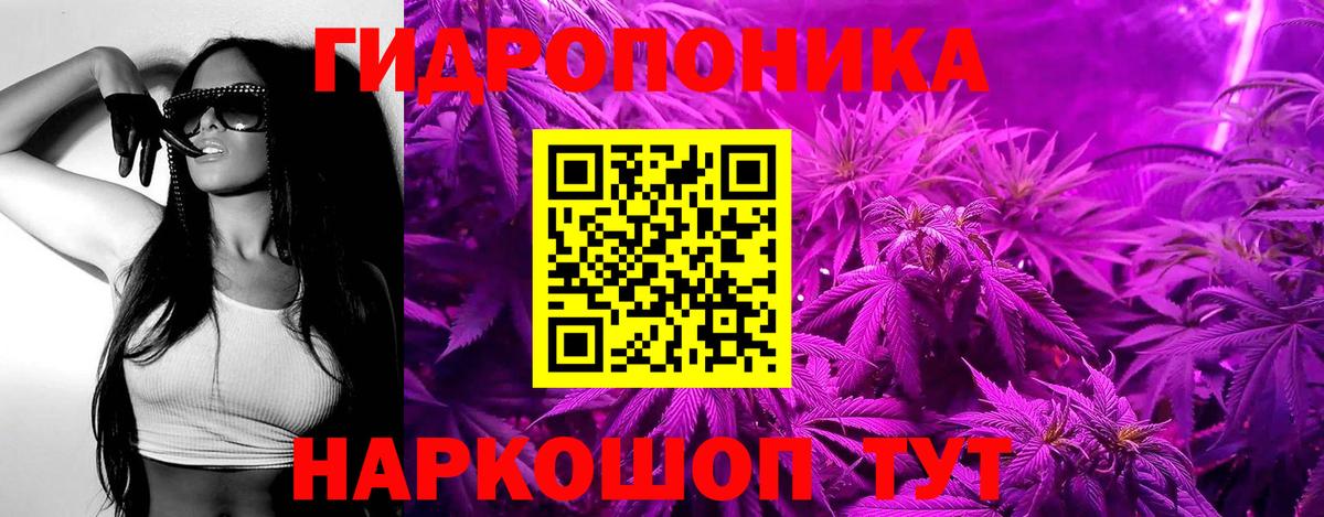 Бошки Шишки Bruce Banner Краснознаменск